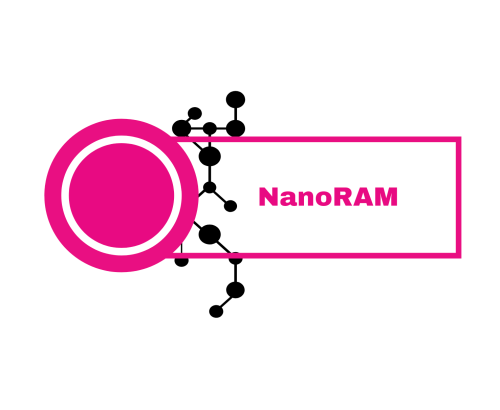 Węglowe nanorurki czyli NRAM - przyszłość przechowywania informacji?